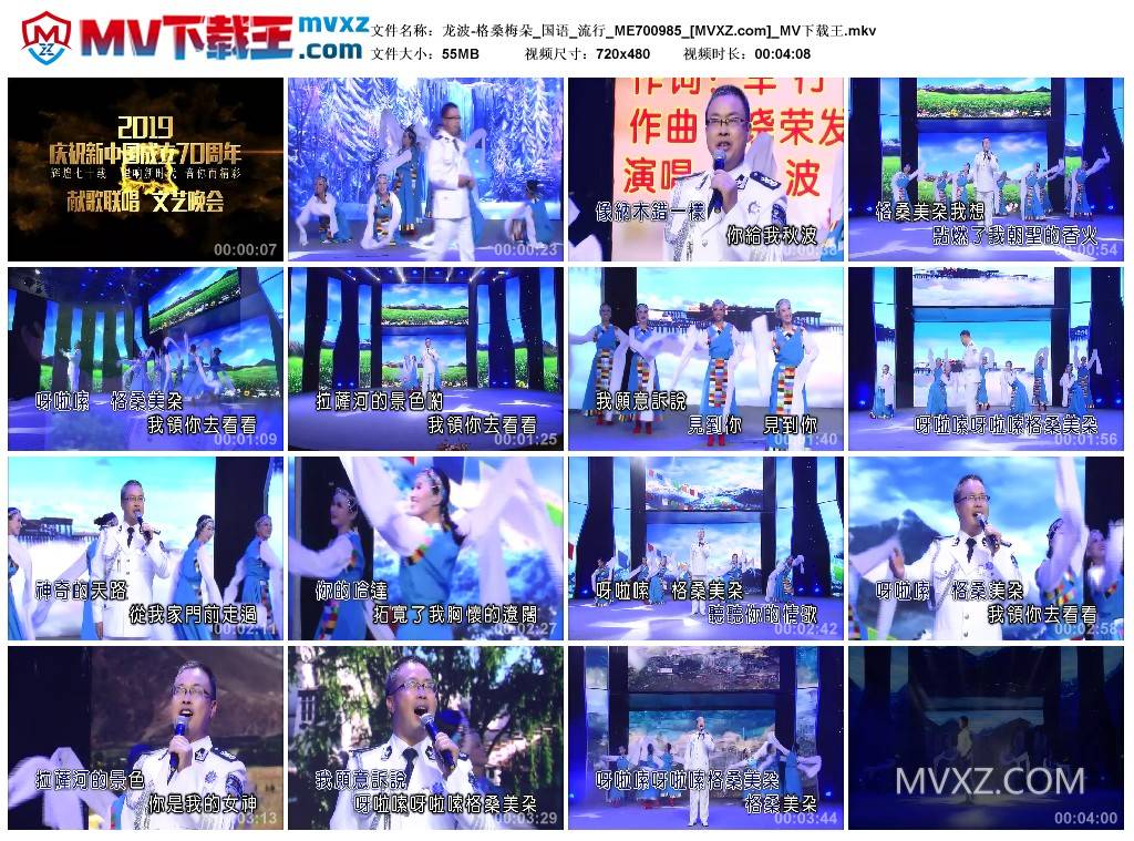 龙波-格桑梅朵_国语_流行_ME700985